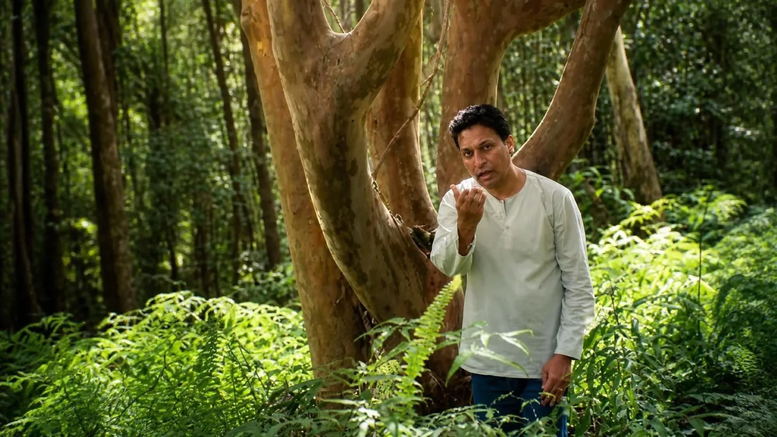 Behleem in a Hawaii forest